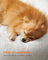Dog Bed - Cloud White - Soft Plush