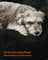 Fluffy Dog Bed - 70 cm Diameter - Ink Black - Soft Plush