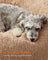 Fluffy Dog Bed - 70 cm Diameter - Camel Brown - Soft Plush