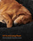 Fluffy Dog Bed - 120 cm Diameter - Ink Black - Soft Plush