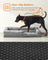 Orthopedic Dog Bed - Fabric - Light Grey - Removable Washable Cover