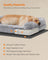 XXL Orthopedic Dog Sofa Bed - Egg Crate Foam - Neutral Color
