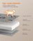 Orthopedic Dog Bed - Egg Crate Foam - Dove Grey - Washable with Waterproof Cover