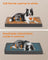 Orthopedic Dog Bed - Egg Crate Foam - Dove Grey - Waterproof Removable Cover