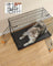 Dog Cage - Metal - Black - Folding Design with Two Doors and Removable Tray