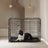 Foldable Dog Crate - Metal - Black - Extra Large with Removable Tray