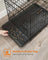 Folding Dog Crate - Metal - Black - Double Door with Tray