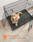 Folding Metal Dog Crate - Steel - Black - Double Door with Removable Tray
