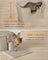 Extra Large Cat Litter Box - Plastic - Cappuccino Beige - Includes Litter Catcher Board and Storage Box