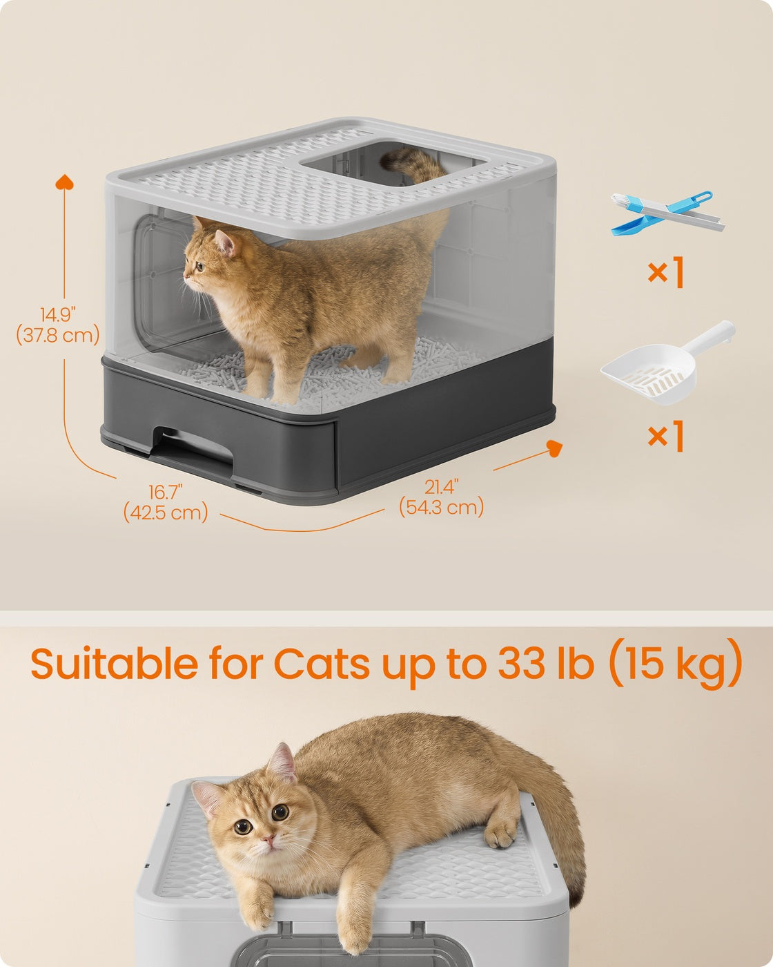 Cat Litter Box