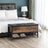 Padded Seat Storage Bench - Iron Frame - Multifunctional Shoe Shelf