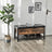 Padded Seat Storage Bench - Iron Frame - Multifunctional Shoe Shelf