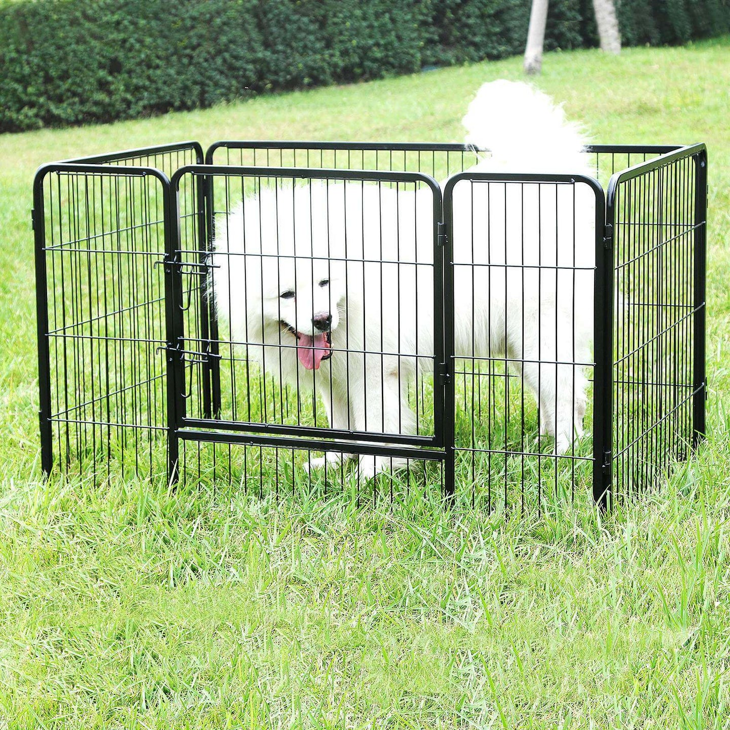 Puppy Playpen - Heavy Duty Metal - Black - Expandable 4-Panel Design