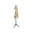 Coat Rack - Solid Wood - Grey - 8 Hooks with 3 Adjustable Heights
