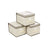 Set of 3 Foldable Fabric Storage Boxes - Beige - Includes Lids and Label Holders