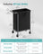 Laundry Basket - Steel - Ink Black - 2-Compartment with Removable Liner and Wheels