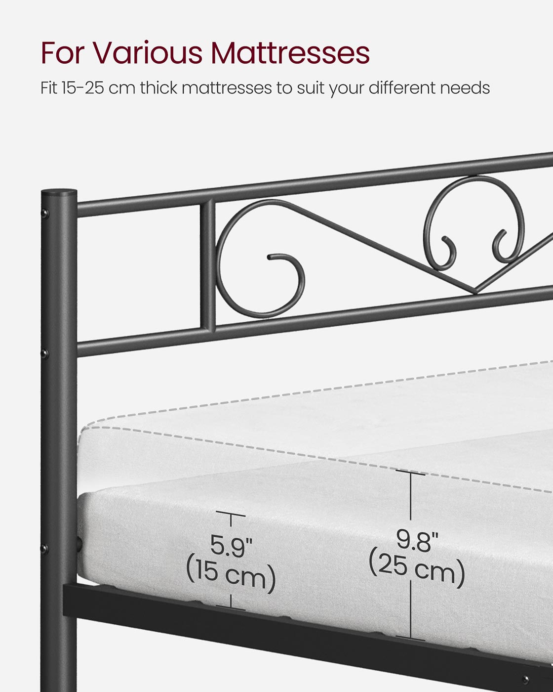 Single Metal Bed Frame - Metal - Black - No Box Spring Needed