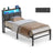Bed Frame - Metal with LED and Charging Station - Matte Black And Rustic Brown - 208.9 x 90.5 x 104.5 cm