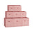 Storage Cubes - Non-Woven Fabric - Jelly Pink - Set of 8 with Double Handles