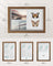 A4 Collage Picture Frame - Wood - Black - Includes 6 Mats and Shadow Box with Push Pins
