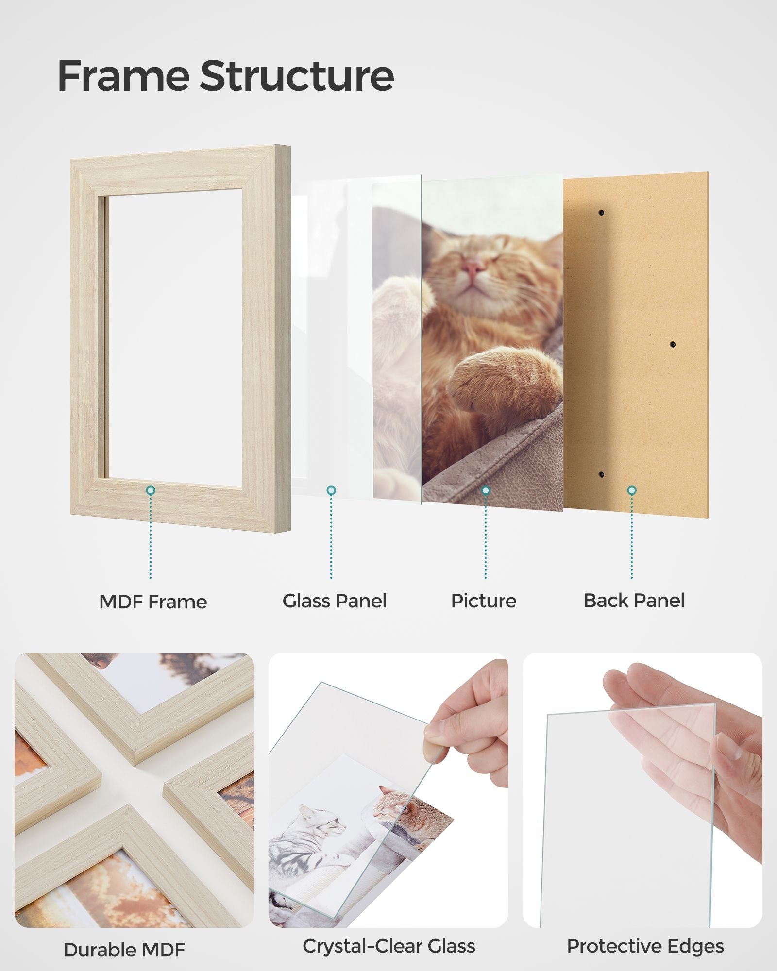 Picture Frame Collage - Holds 12 Photos - Clear Glass - Black