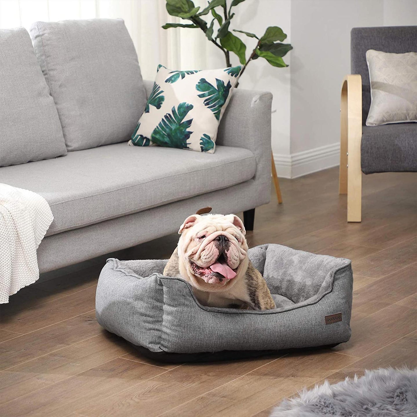 Dog Bed - Brown - Plush