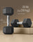 Hexagonal Dumbbell Set - Metal - N/A