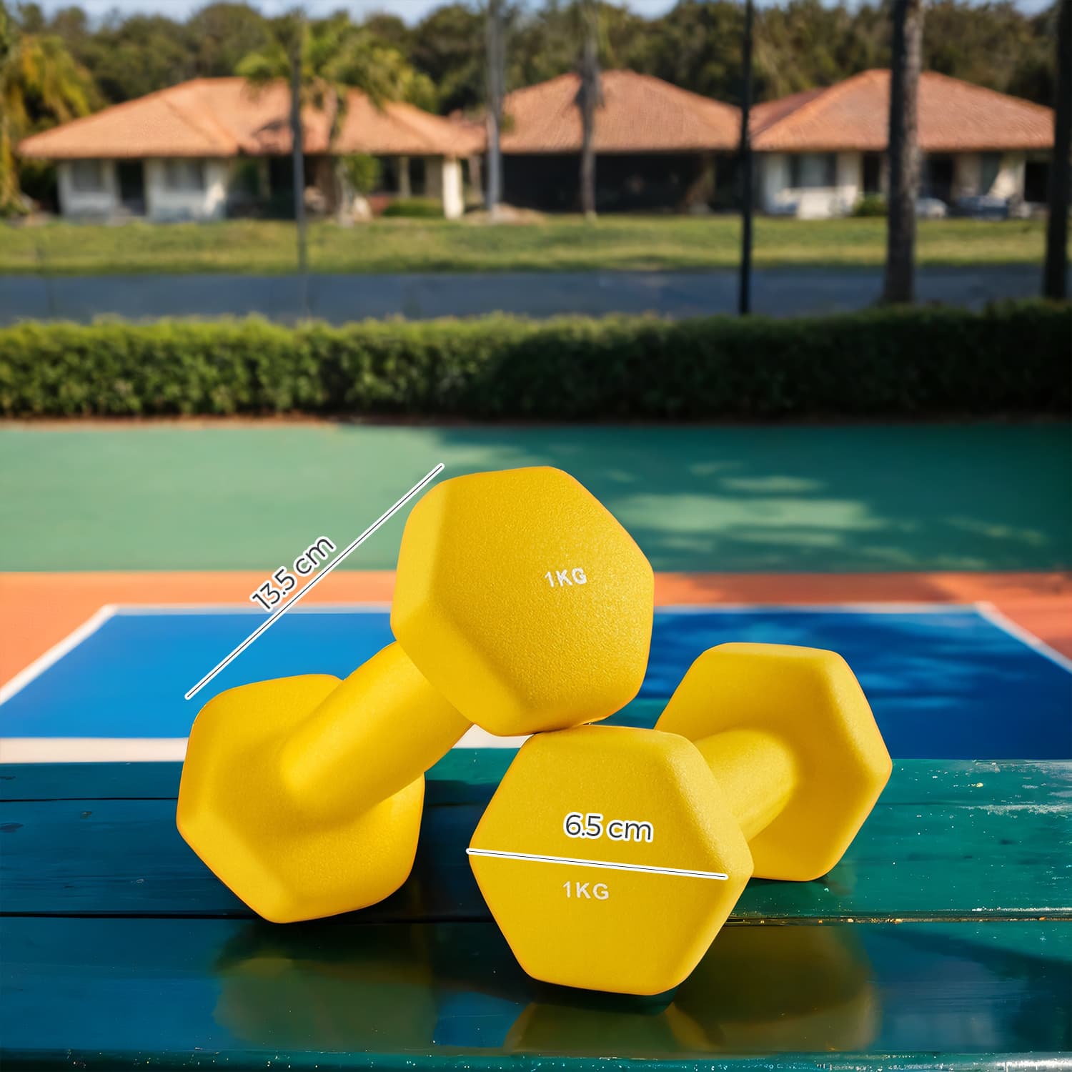 Set of 2 Dumbbells - Lightweight 1 kg Each - Neoprene - Multicolor