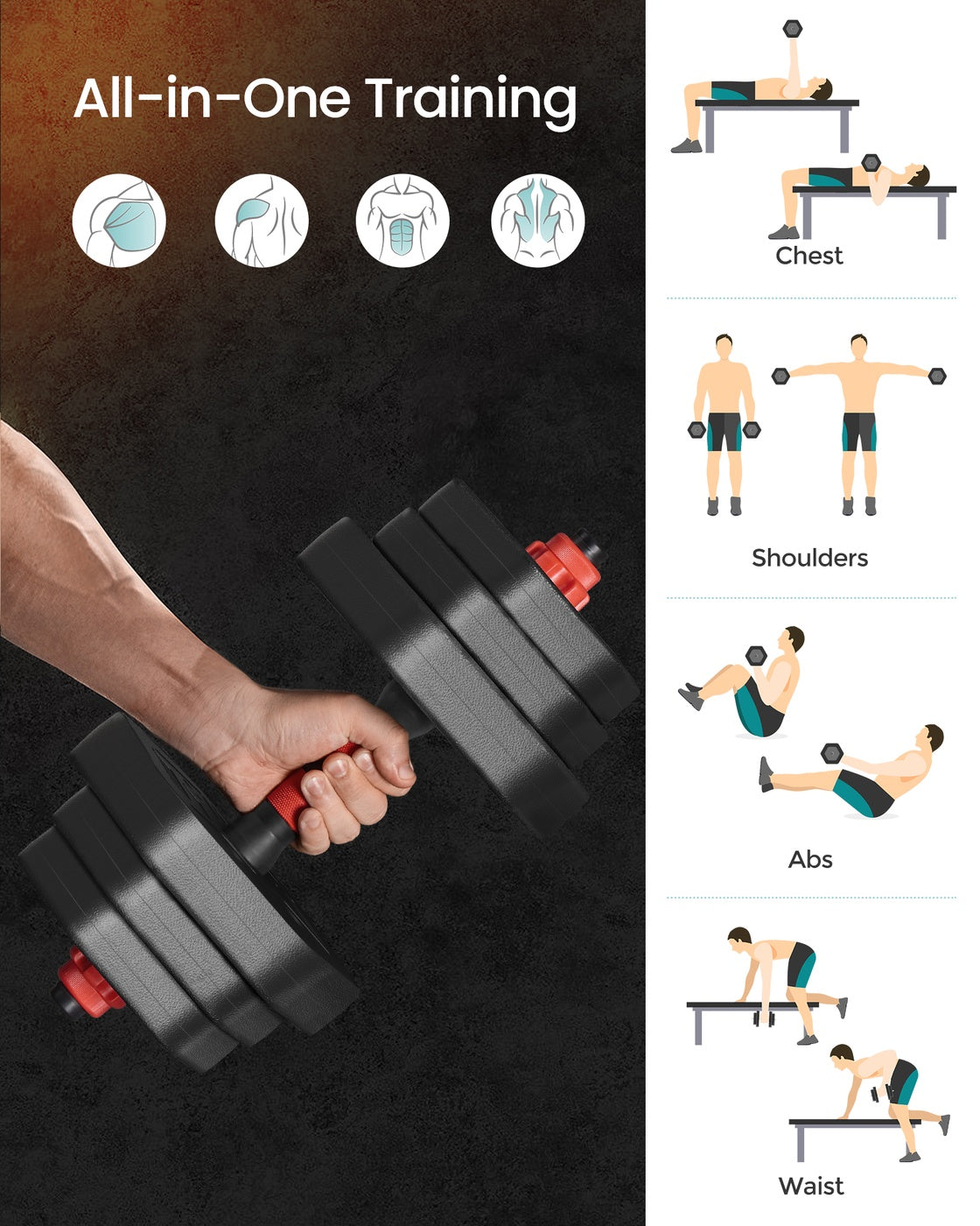 Dumbbell Set - Steel - Various Weights
