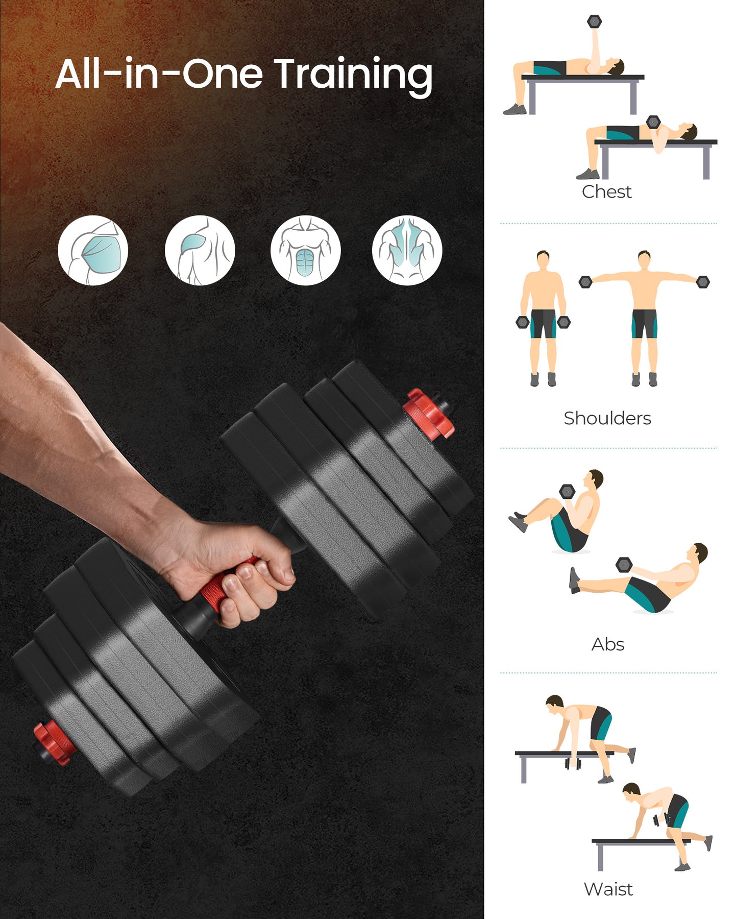 Dumbbell Sets Weights Each - Steel Bar and Plastic Coating - Ink Black