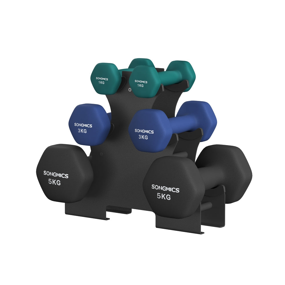 Hex Dumbbells Set - Neoprene - Lime, Teal, Grey - Includes Stand