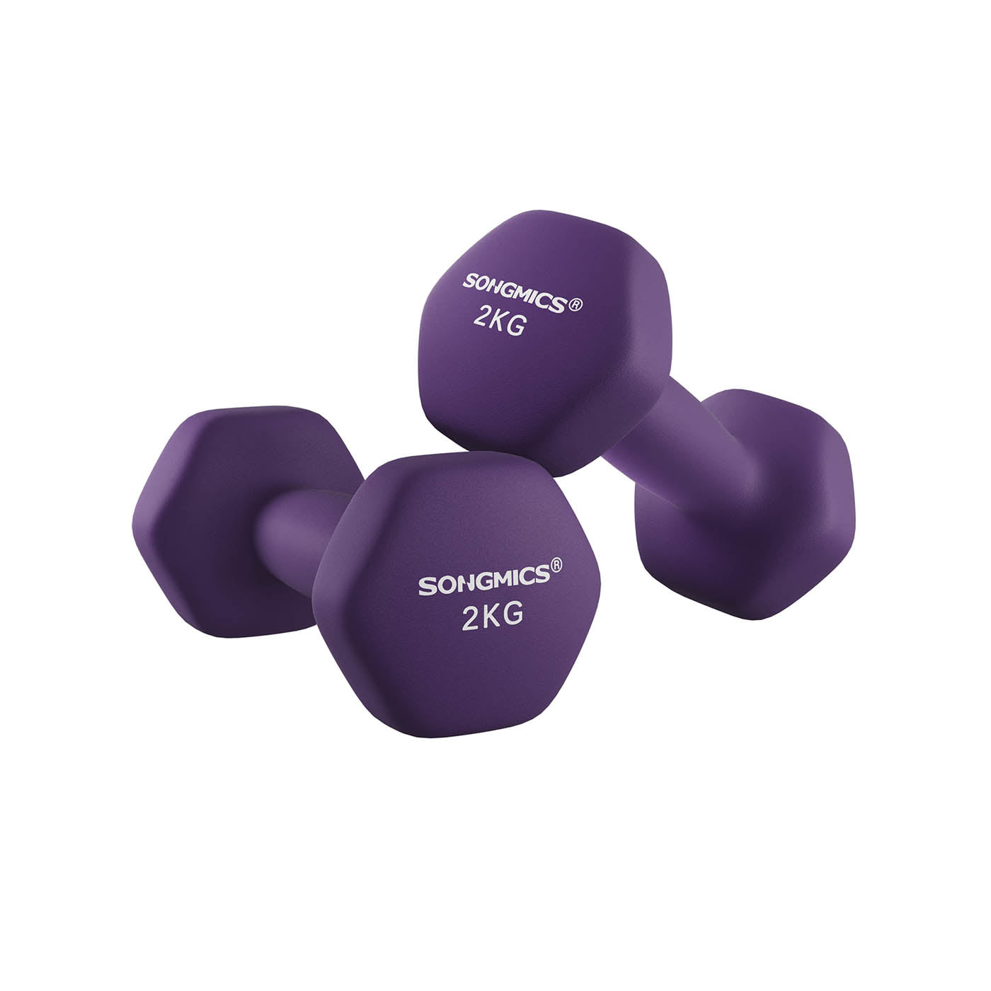 Dumbbell Set - Purple - Vinyl