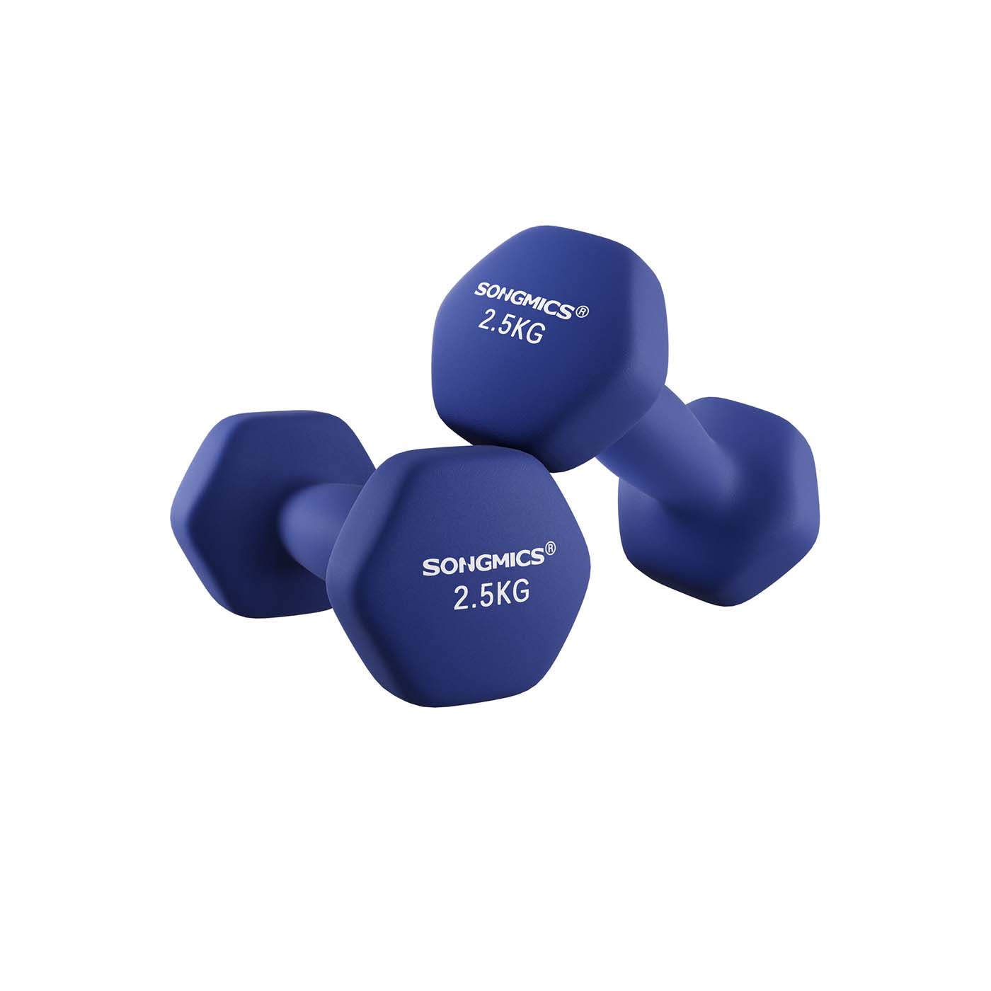 Dumbbells Set - 2 x 2.5 kg - Vinyl