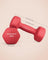 Set of 2 Dumbbells - 3.0 kg Each - Steel - Red