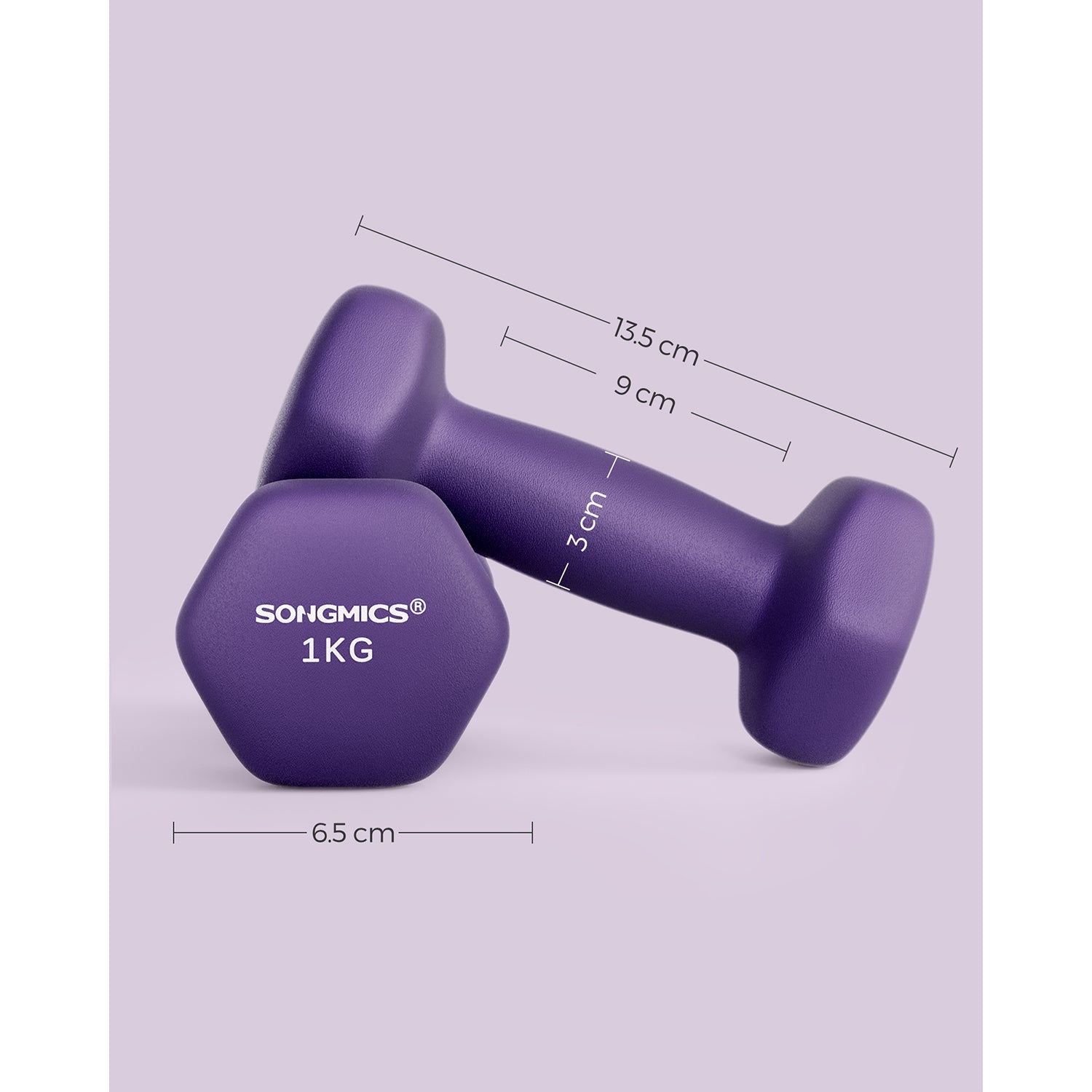 Set of 2 Hexagonal Dumbbells - Steel - Purple - Ideal for Home Workout and Fitness Training