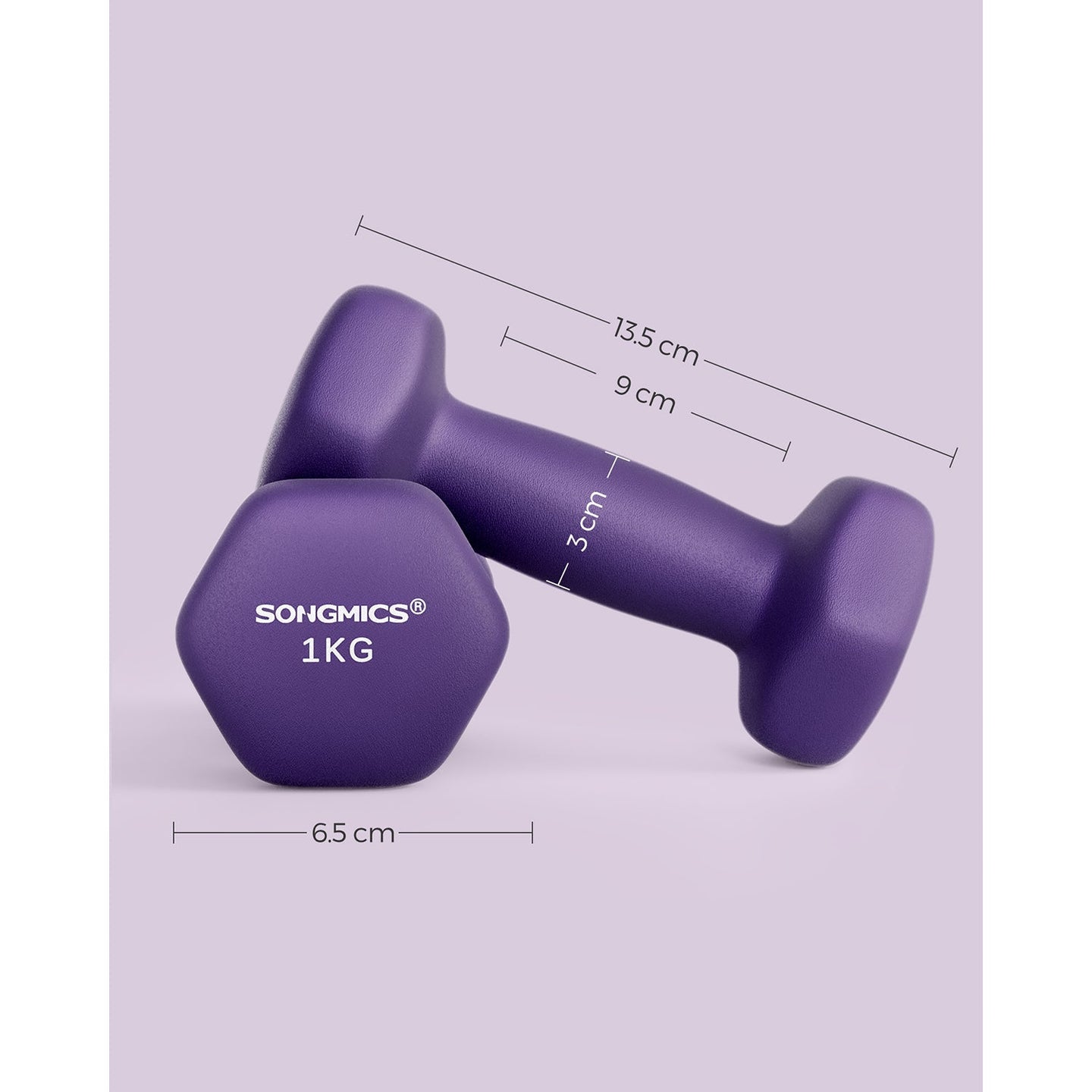 Set of 2 Hexagonal Dumbbells - Steel - Purple - Ideal for Home Workout and Fitness Training