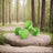 Dumbbell Set - Neoprene - Green - Hexagonal Design
