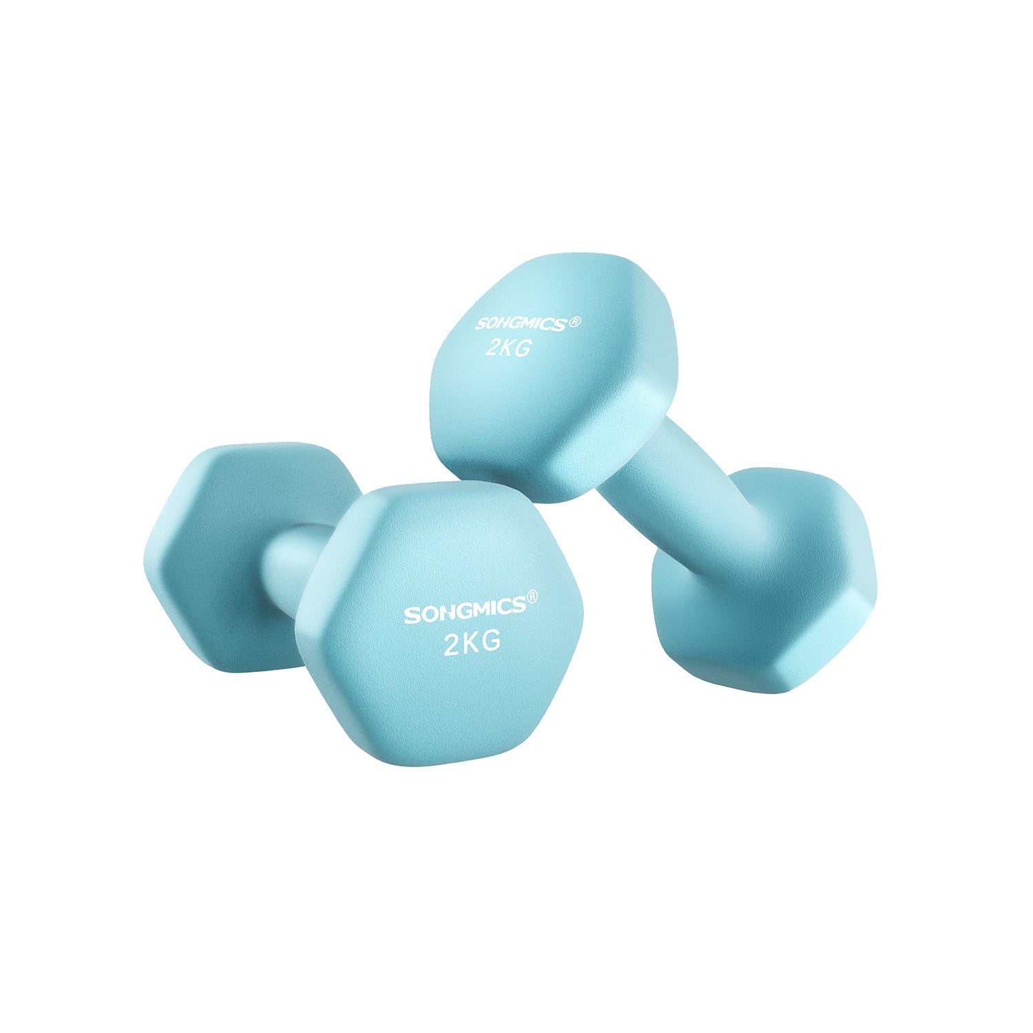 Dumbbells Set - Blue - Hexagonal