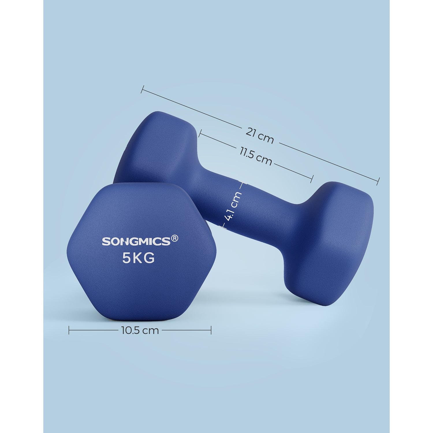Dumbbells Set - Steel - Blue - Hexagonal Design for Home Workout