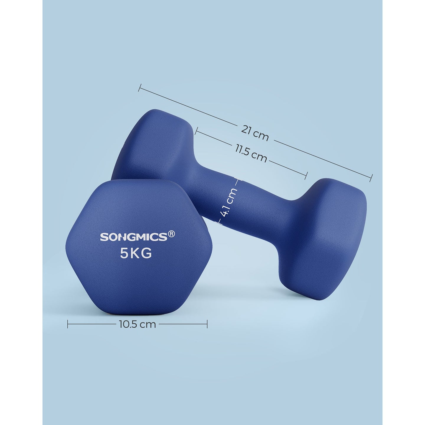 Dumbbells Set - Steel - Blue - Hexagonal Design for Home Workout