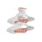 Velvet Coat Hangers - 24-Pack - White - Non-Slip