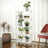 Bamboo Storage Shelf 5-Tier - Bamboo - White