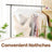 Solid Wood Clothes Hangers - 20 Pack - Maple Wood - Notched Shoulders