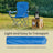 Pair of Portable Outdoor Chairs - Fabric and Powder - Blue