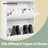 Shoe Cabinet - 60L - Chipboard with Melamine Veneer - 2 Flip Doors