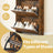 Shoe Cabinet - 60L - Particleboard - 3 Flip Doors