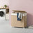 Laundry Hamper - Fabric - Natural Beige - 3-Section with Removable Liner and Lid