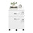 Mobile Locking Filing Cabinet - MDF and PVC - White - with 2 Drawers