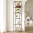 6-Tier Glass Shelf, Bookshelf - Tempered Glass and Steel - Gold