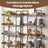 5-Tier Bookcase - Engineered Wood - Rustic Brown and Black - Spacious Storage Shelves